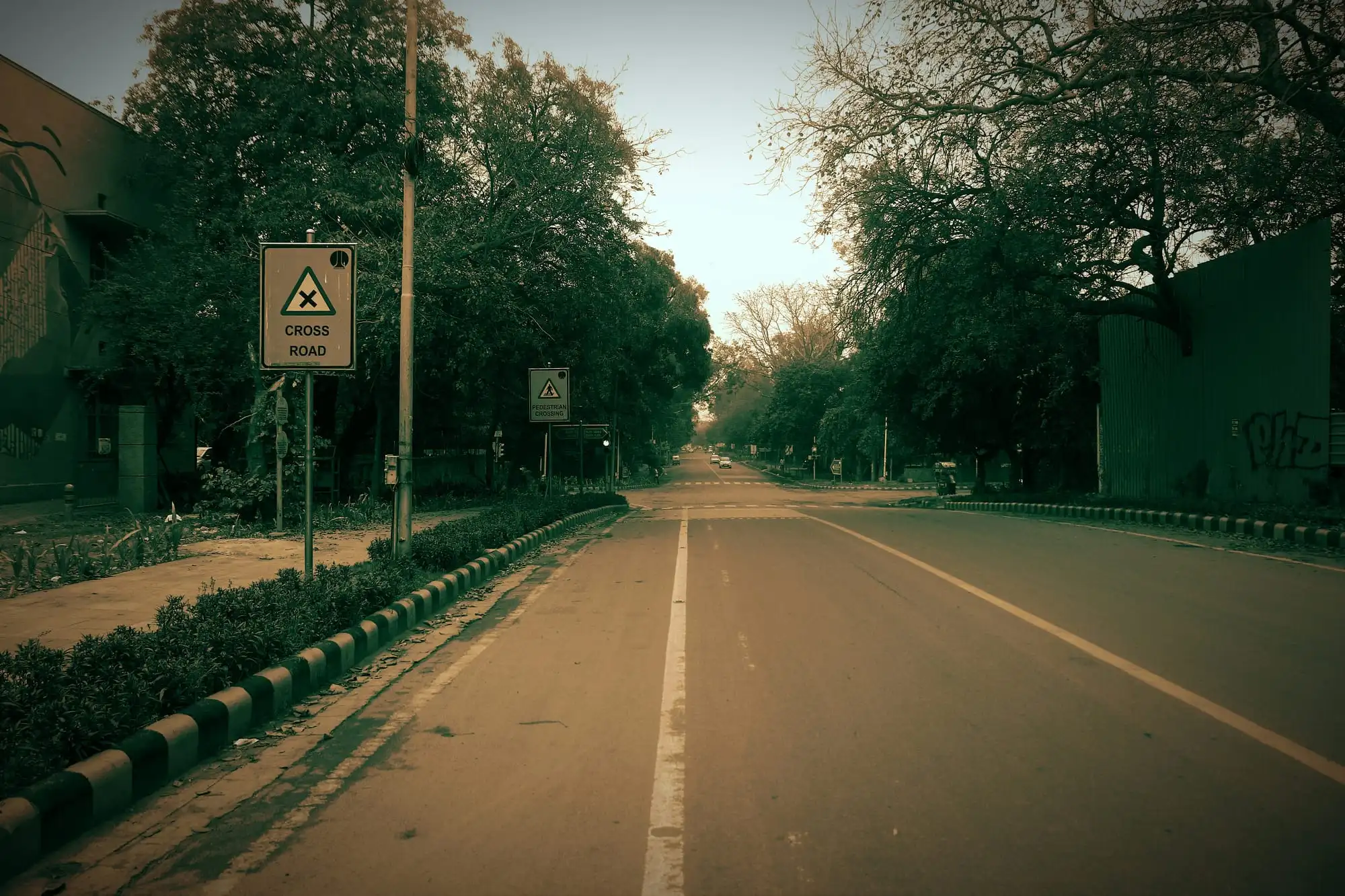 An empty road through Lodhi Garden in New Delhi, lined with old trees, in soft afternoon light.